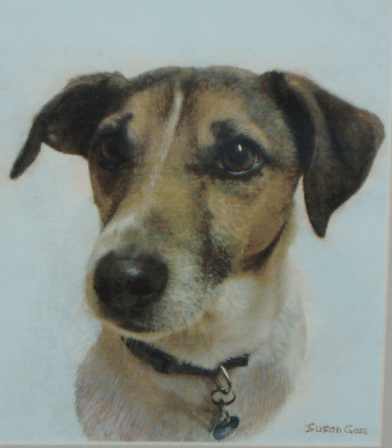 Ziggy the Jack Russell painting
