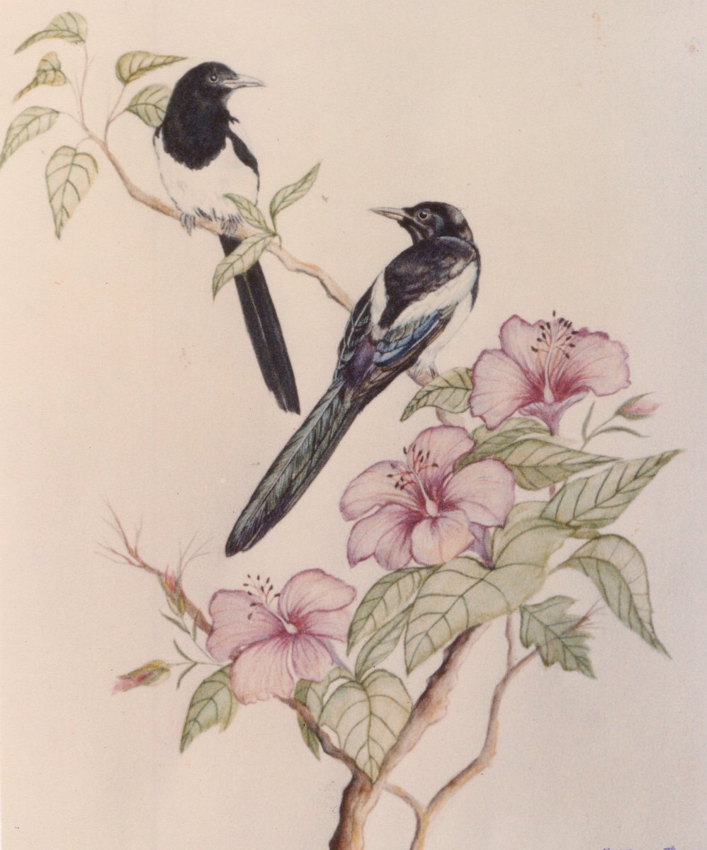 Magpies painting